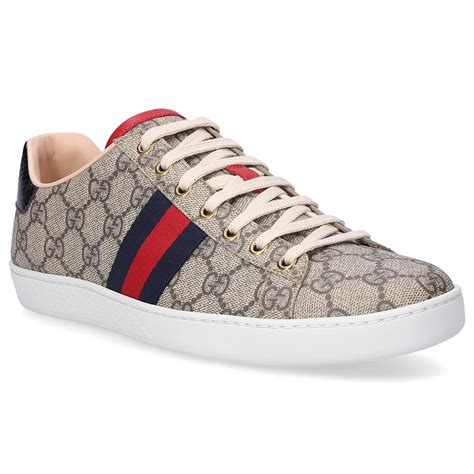 gucci low top sneakers